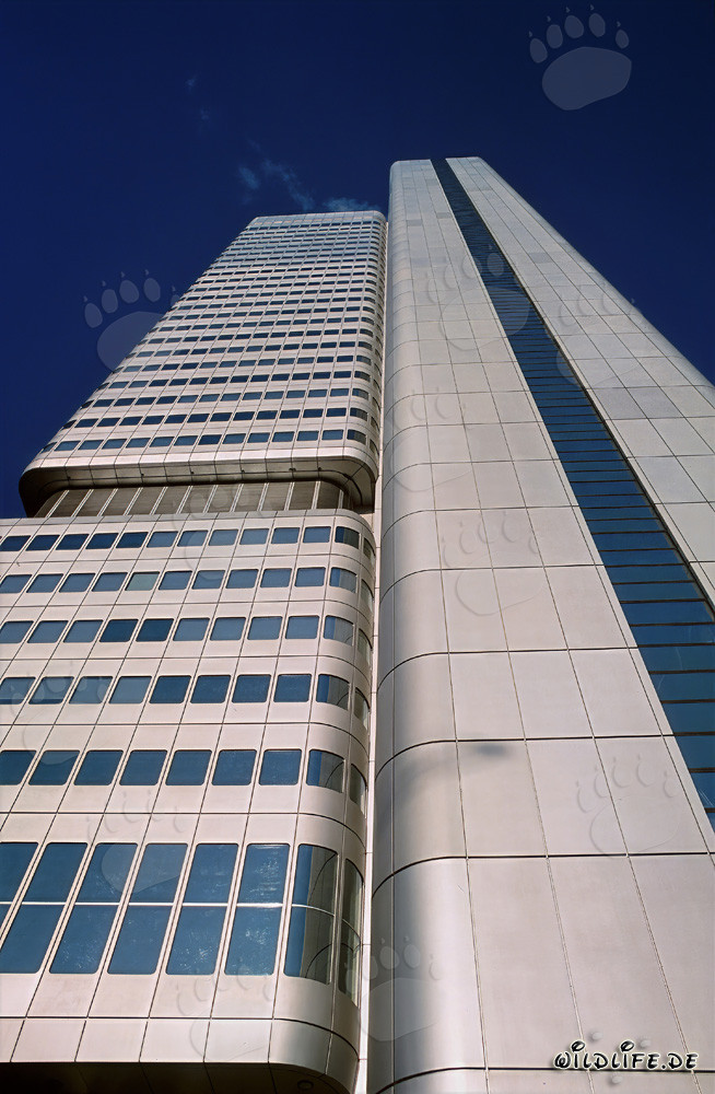 Imponente Torre della Banca Dresdner a Francoforte sul Meno