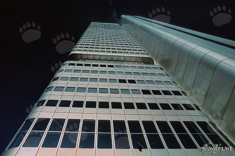 Imponente Torre della Banca Dresdner a Francoforte sul Meno