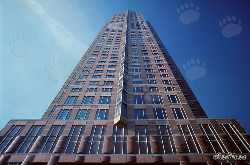 L'imponente Messeturm di Francoforte sul Meno