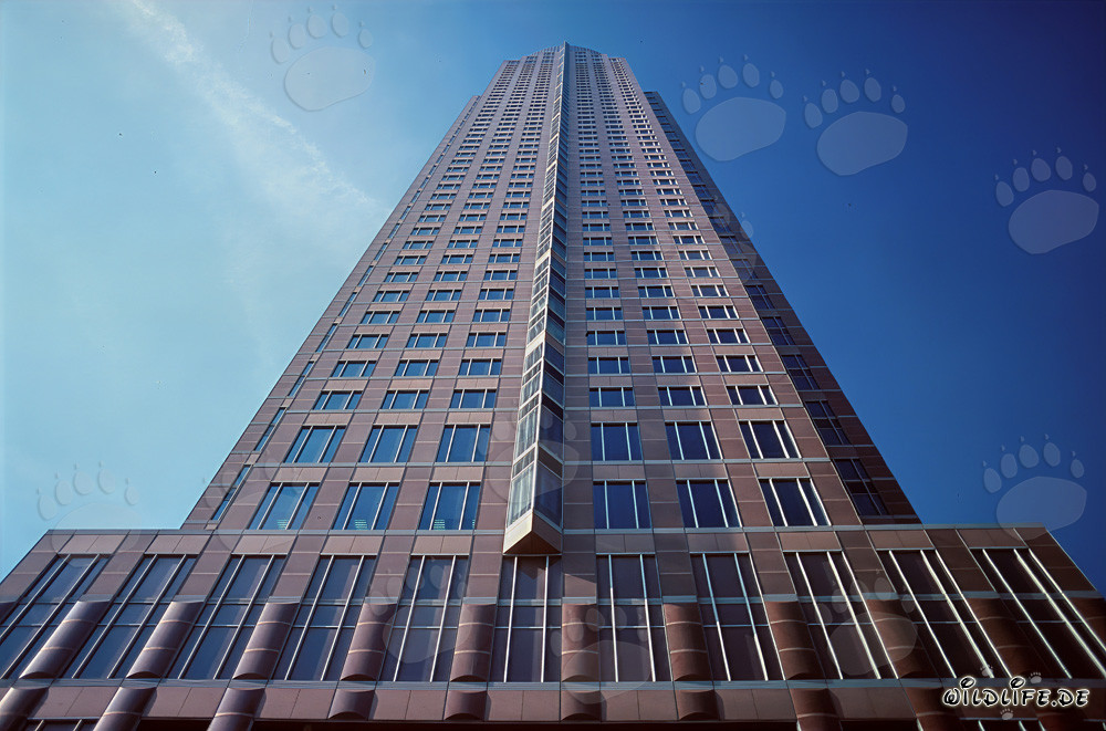 The impressive Trade Fair Tower of Frankfurt