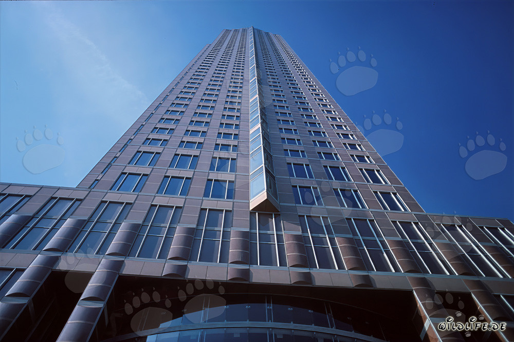 Faszinierender Messeturm Frankfurt im strahlend blauen Himmel