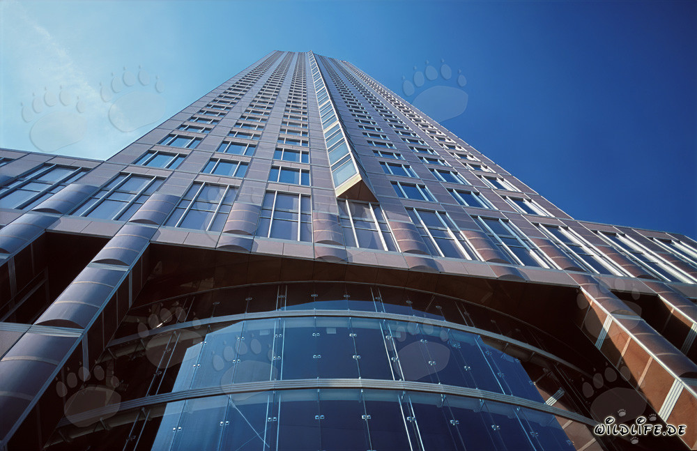 Skyscraper Trade Fair Tower Frankfurt in the Main Metropolis