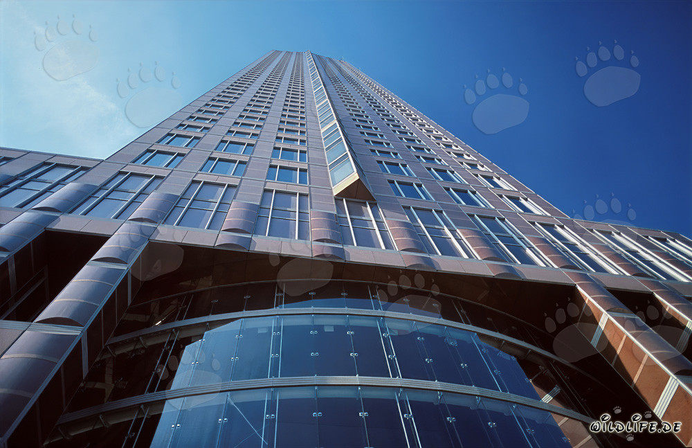 Wolkenkratzer Messeturm Frankfurt in der Mainmetropole
