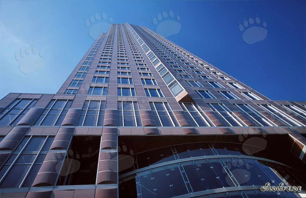 The impressive Trade Fair Tower in Frankfurt