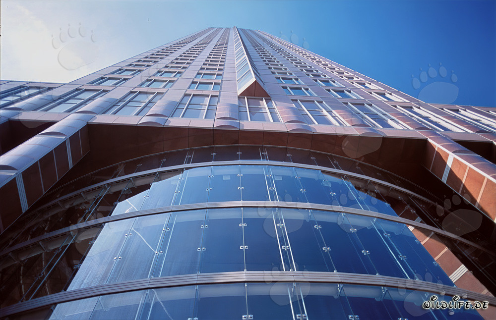 Der imposante Messeturm in Frankfurt - Ein architektonisches Meisterwerk