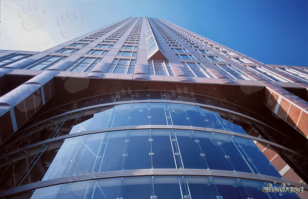 The impressive Trade Fair Tower in Frankfurt - An architectural masterpiece