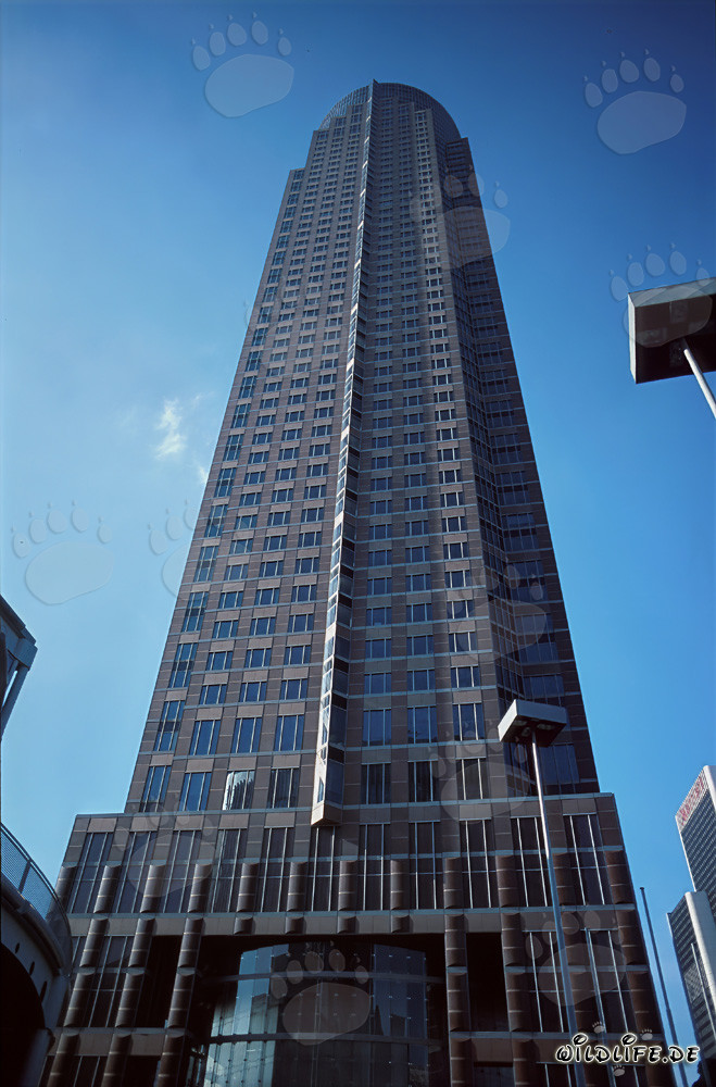 The impressive Fair Tower - A skyscraper in the Westend of Frankfurt