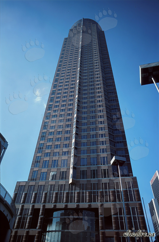Der imposante Messeturm - Ein Wolkenkratzer im Frankfurter Westend