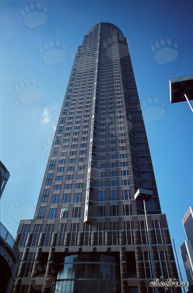 La imponente Torre de la Feria - Un rascacielos en el Westend de Frankfurt
