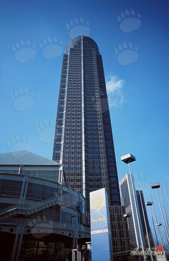 Francfort-sur-le-Main - MesseTurm : Symbole de la modernité dans la métropole bancaire