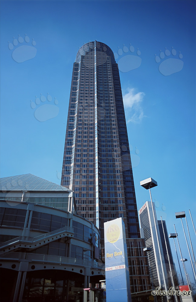 Frankfurt am Main - MesseTurm: Symbol der Moderne in der Bankenmetropole