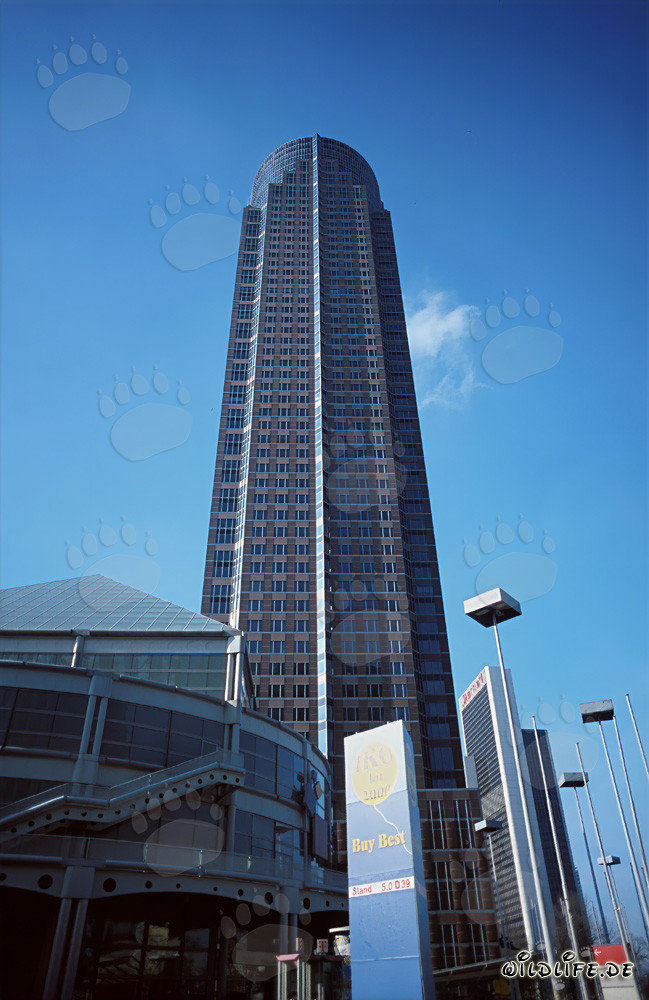 Fráncfort del Meno - MesseTurm: Símbolo de la modernidad en la metrópoli bancaria