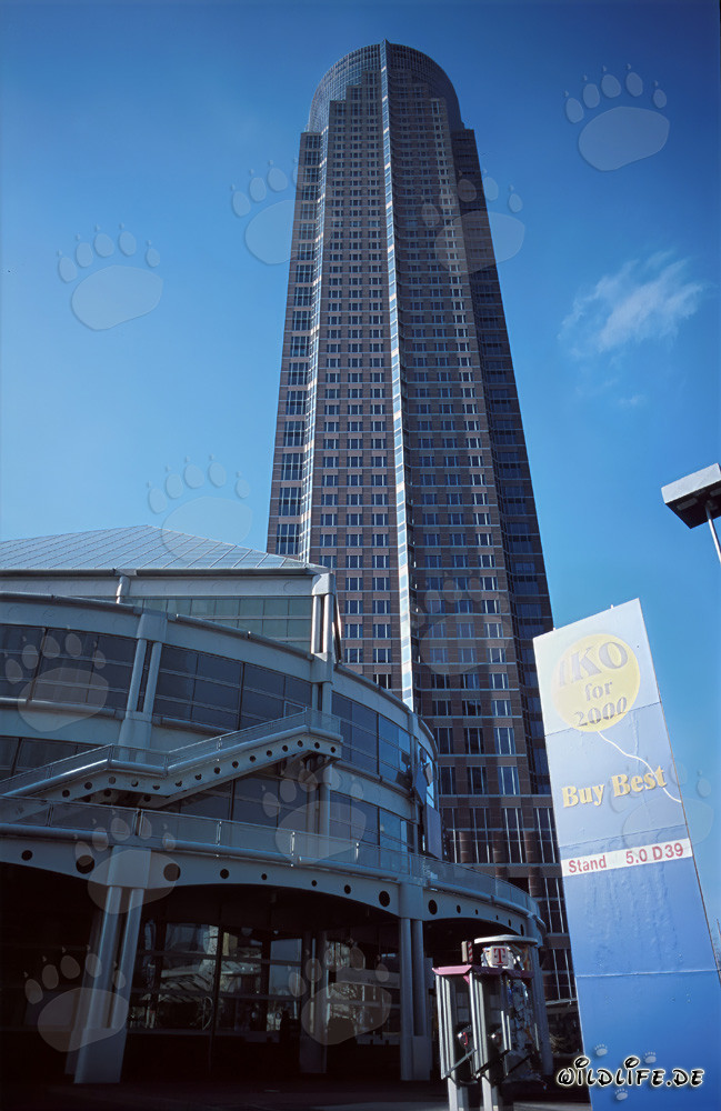 Faszinierender Messeturm Frankfurt