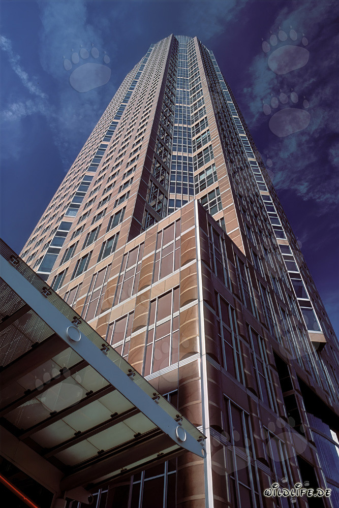 Fascinante grattacielo Messeturm a Francoforte sul Meno
