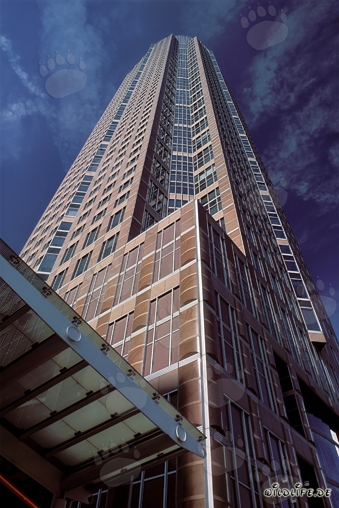 Impresionante rascacielos Messeturm en Frankfurt am Main