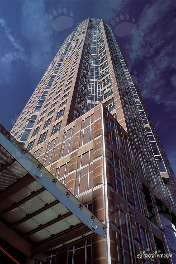 Fascinating Skyscraper Messeturm in Frankfurt am Main