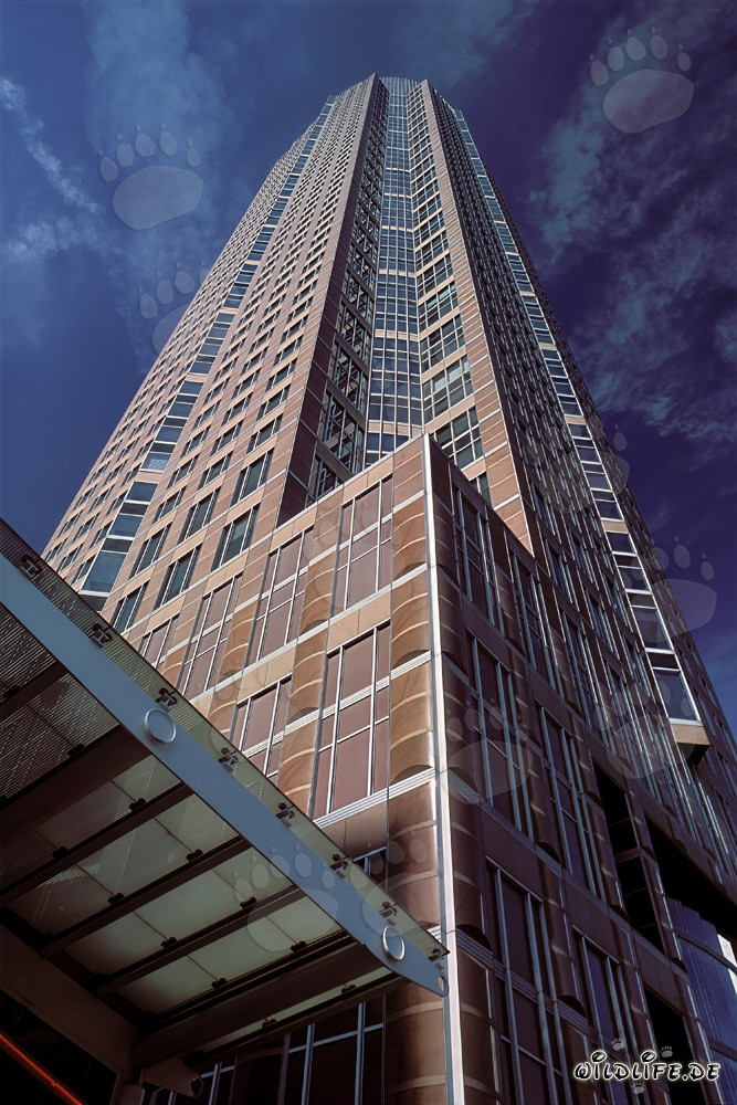 Faszinierender Wolkenkratzer Messeturm in Frankfurt am Main