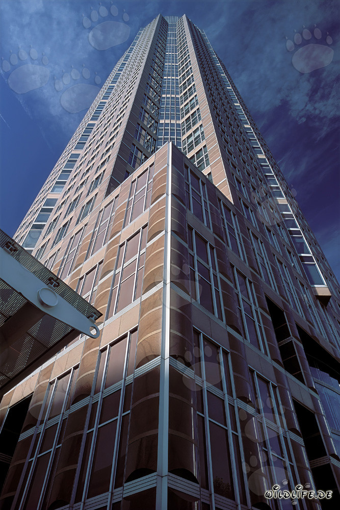 Fascinating Fair Tower of Frankfurt