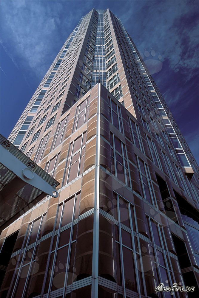 Fascinante torre de exposiciones de Frankfurt