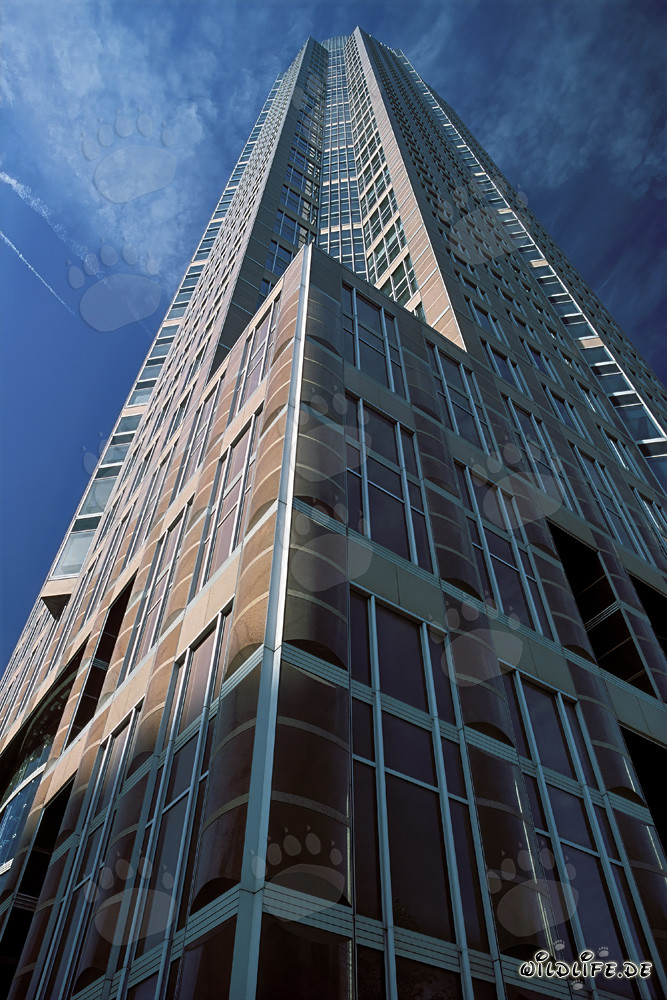 Imponente grattacielo Messeturm Frankfurt