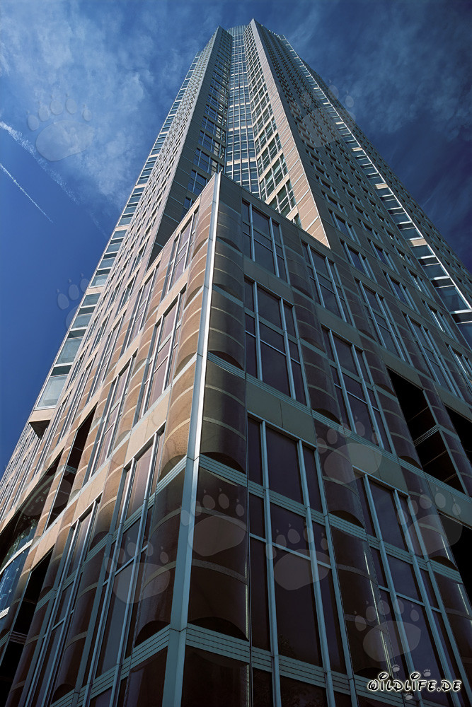 Impressionnant gratte-ciel Messeturm Frankfurt