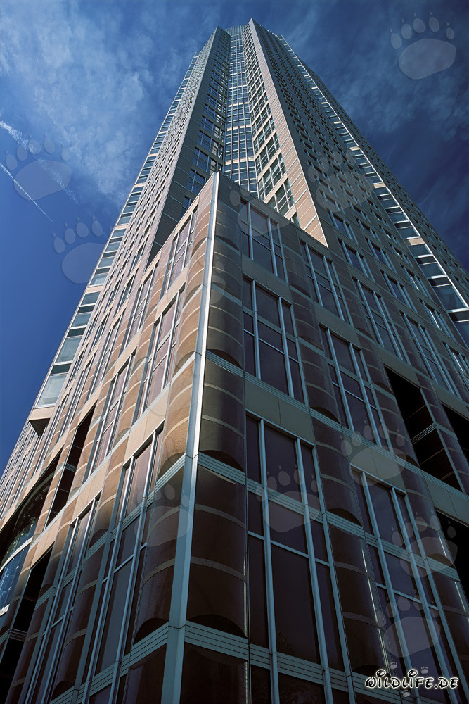 Impressive Skyscraper Messeturm Frankfurt