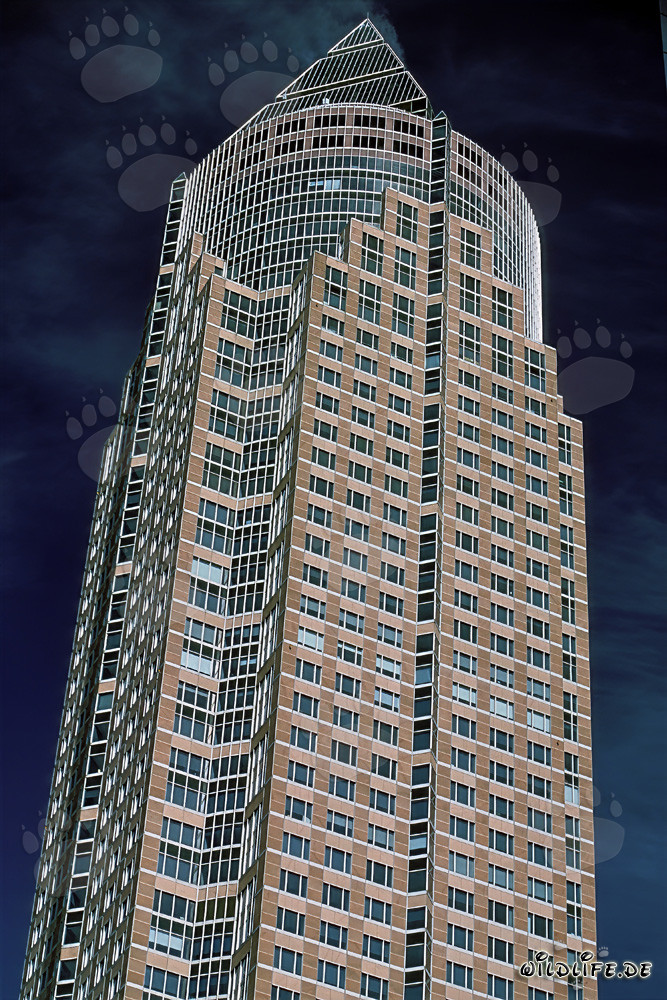 Der imposante Messeturm in Frankfurt am Main