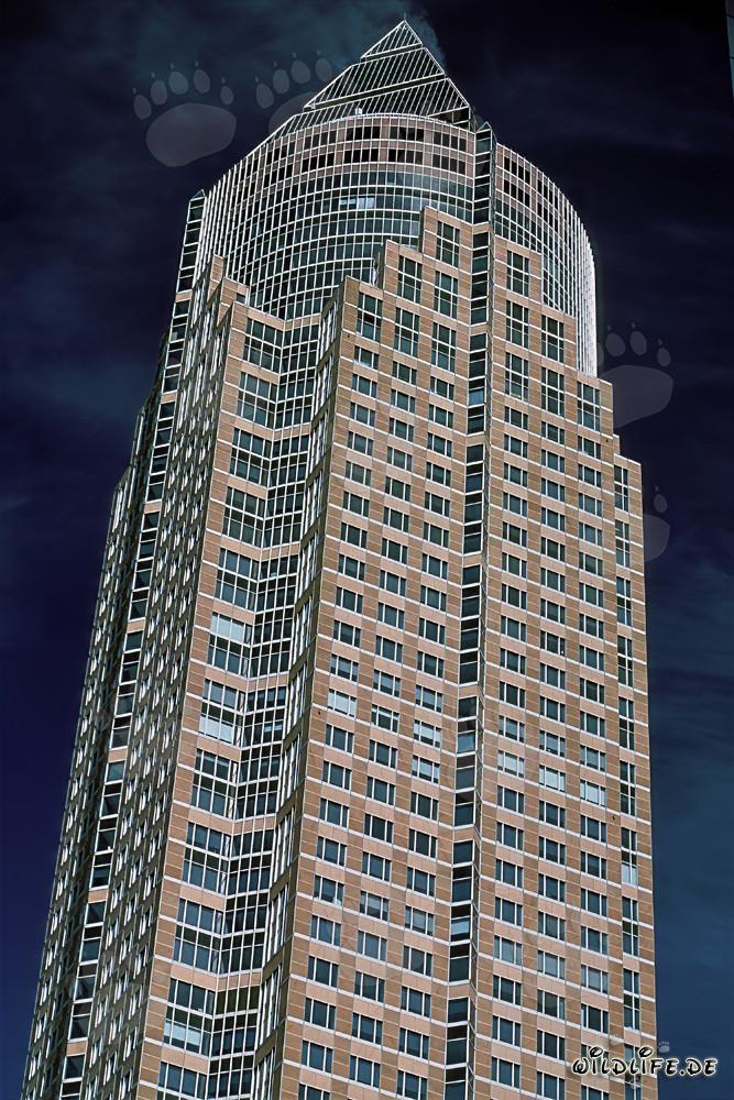 The impressive Messeturm in Frankfurt am Main