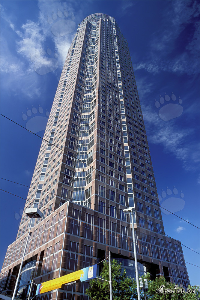 The impressive Messeturm in Frankfurt am Main
