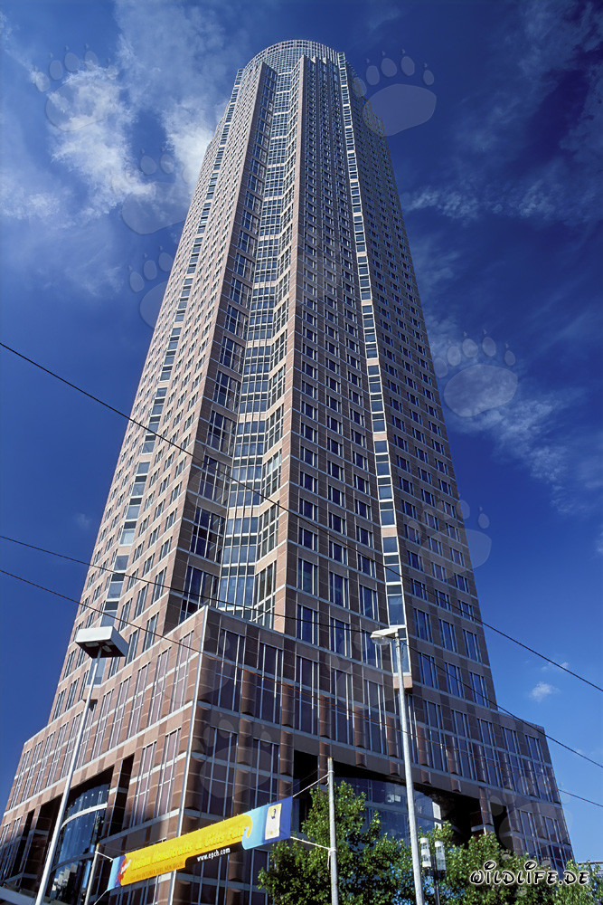 Der imposante Messeturm in Frankfurt am Main