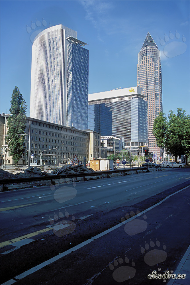 Impressions de l'imposante tour de la Foire de Francfort