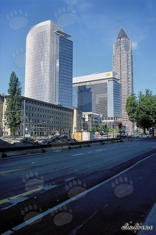 Impressionen des imposanten Frankfurter Messeturms