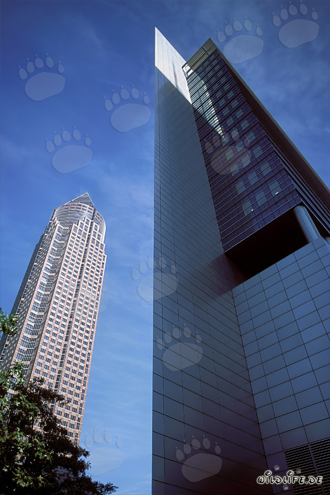 Impressive Messeturm Frankfurt with distinctive pyramid peak