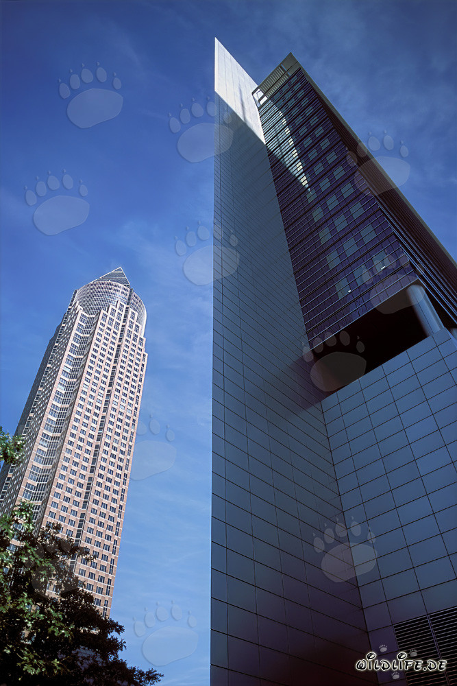 Beeindruckender Messeturm Frankfurt mit markanter Pyramiden-Spitze
