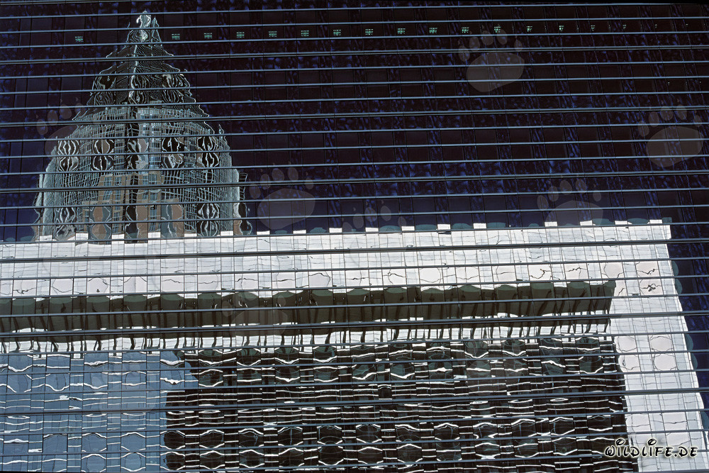 Fascinante reflejo de la Torre de la Feria en Frankfurt