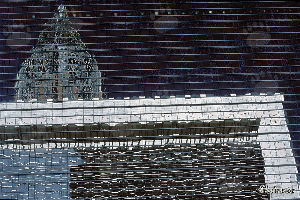 Affascinante riflesso della Torre della Fiera a Francoforte