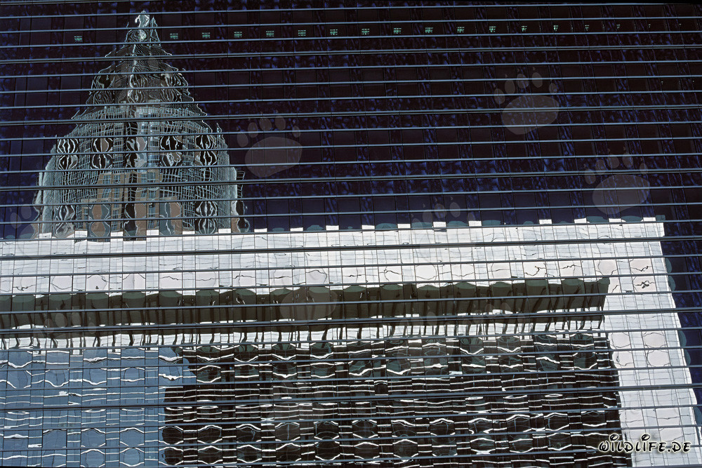 Reflet fascinant de la tour de la Foire de Francfort