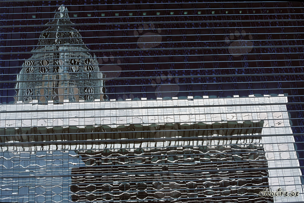 Fascinating Reflection of the Trade Fair Tower in Frankfurt