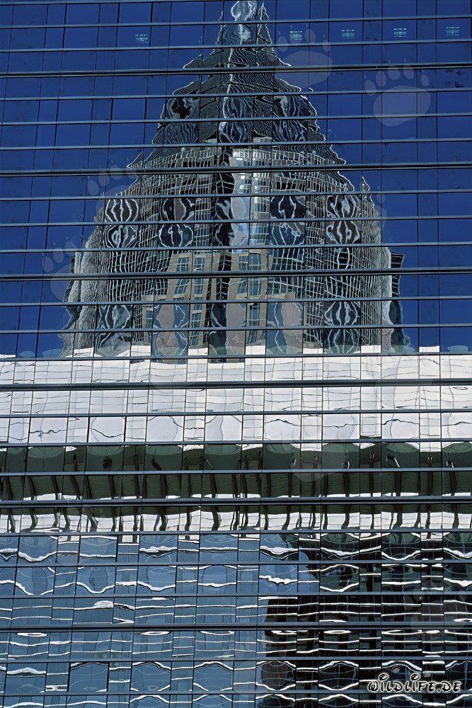 Affascinante riflesso della torre della fiera a Francoforte