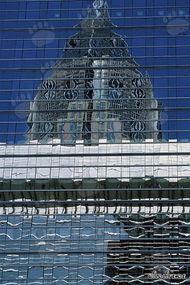 Fascinante reflejo de la torre de la feria en Frankfurt