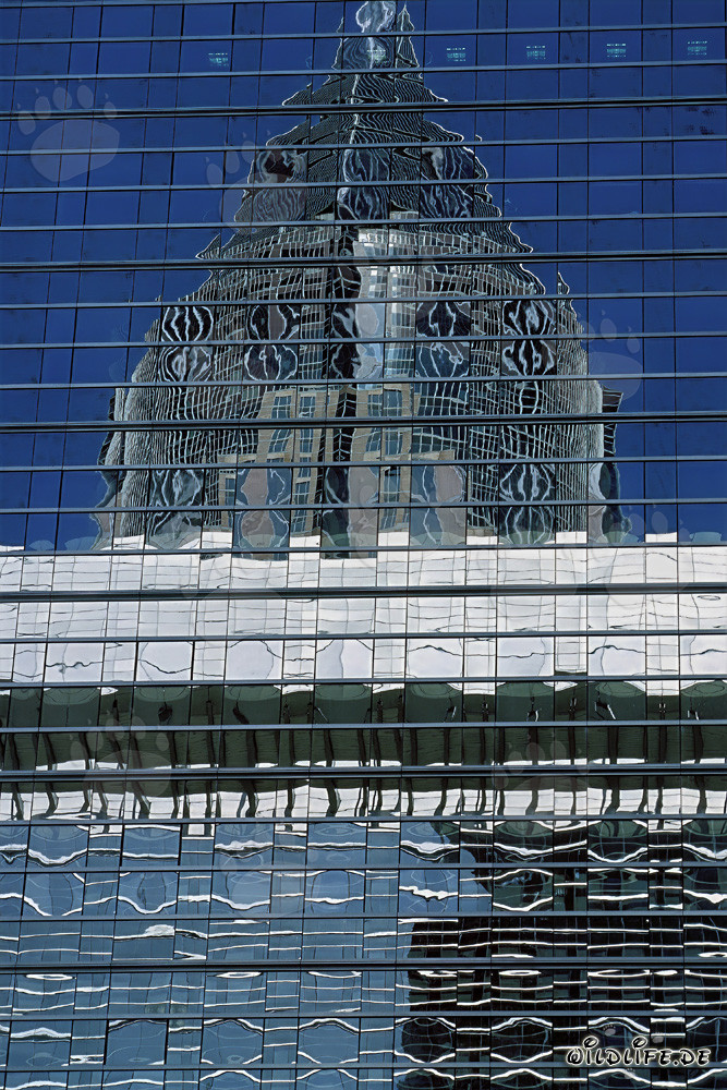 Réflexion fascinante de la tour de la foire de Francfort