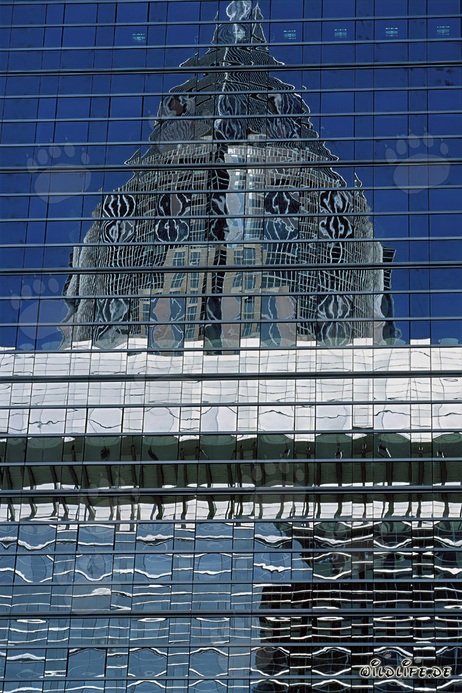 Faszinierende Spiegelung des Messeturms in Frankfurt