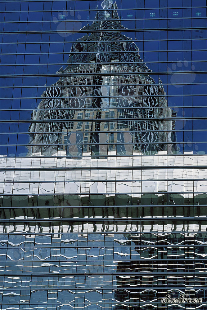 Fascinating Reflection of the Trade Fair Tower in Frankfurt