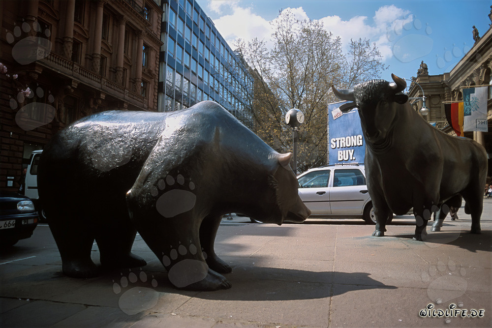 Bull y Bear de la Bolsa de Fráncfort