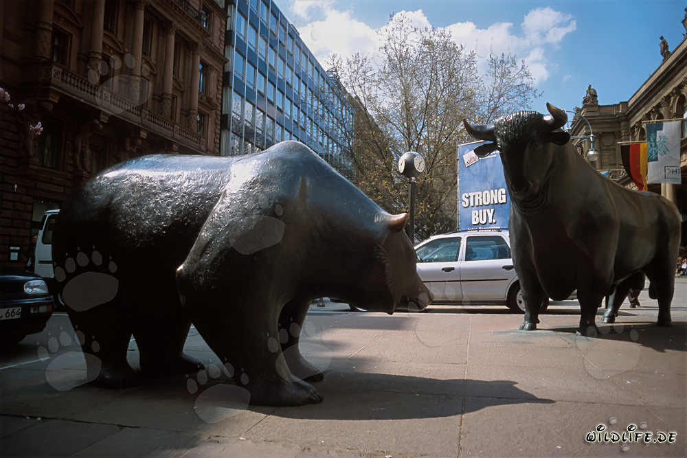 Toros e Orsi della Borsa di Francoforte