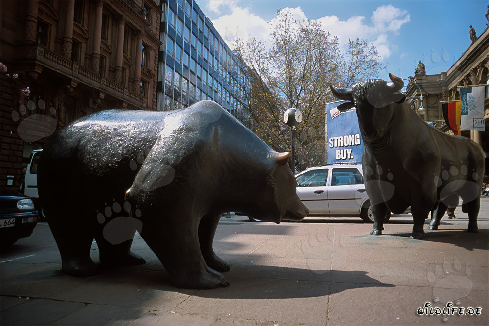 Frankfurt Stock Exchange Bull and Bear