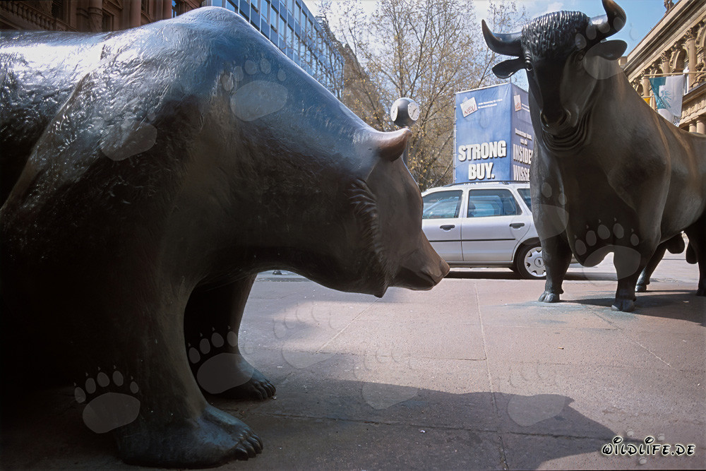 Toro y oso - Figuras simbólicas de la bolsa se encuentran en Fráncfort