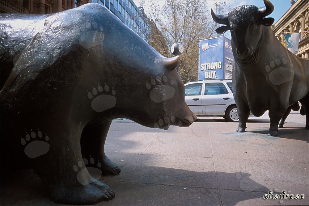 Toro e orso - Figure simboliche della borsa si incontrano a Francoforte