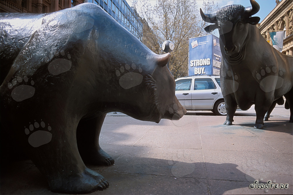 Taureau et ours - Figures symboliques de la bourse se rencontrent à Francfort