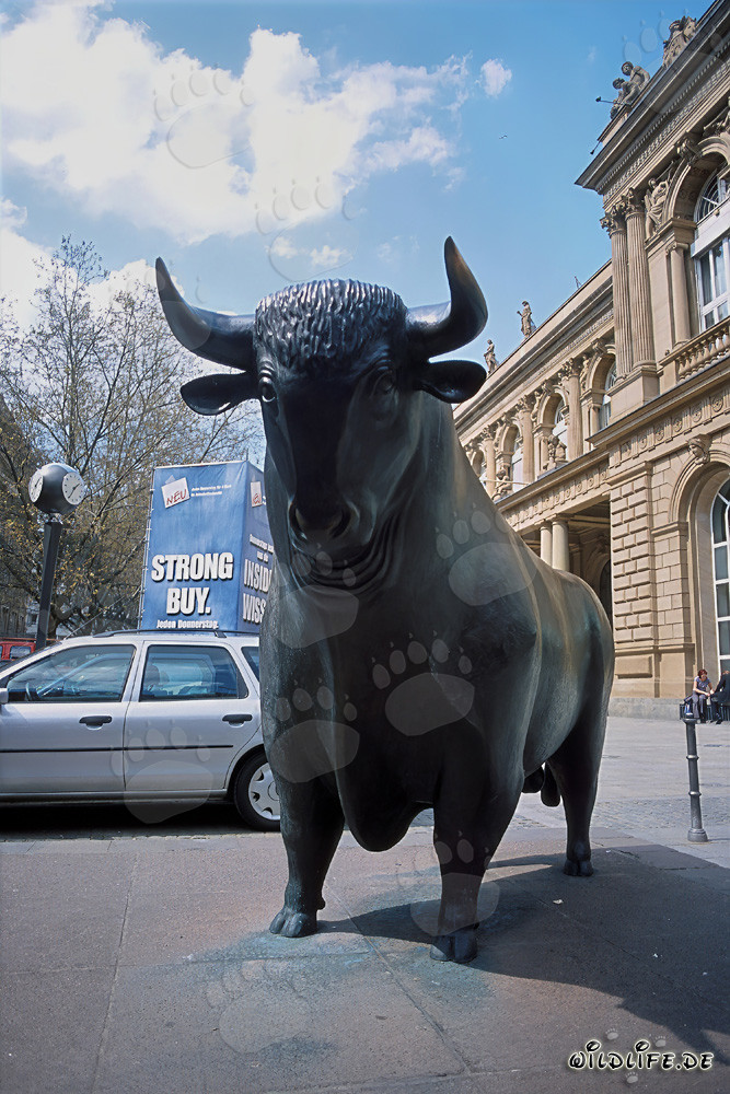 Taureau devant la Bourse de Francfort - Symbole de hausses et d'optimisme